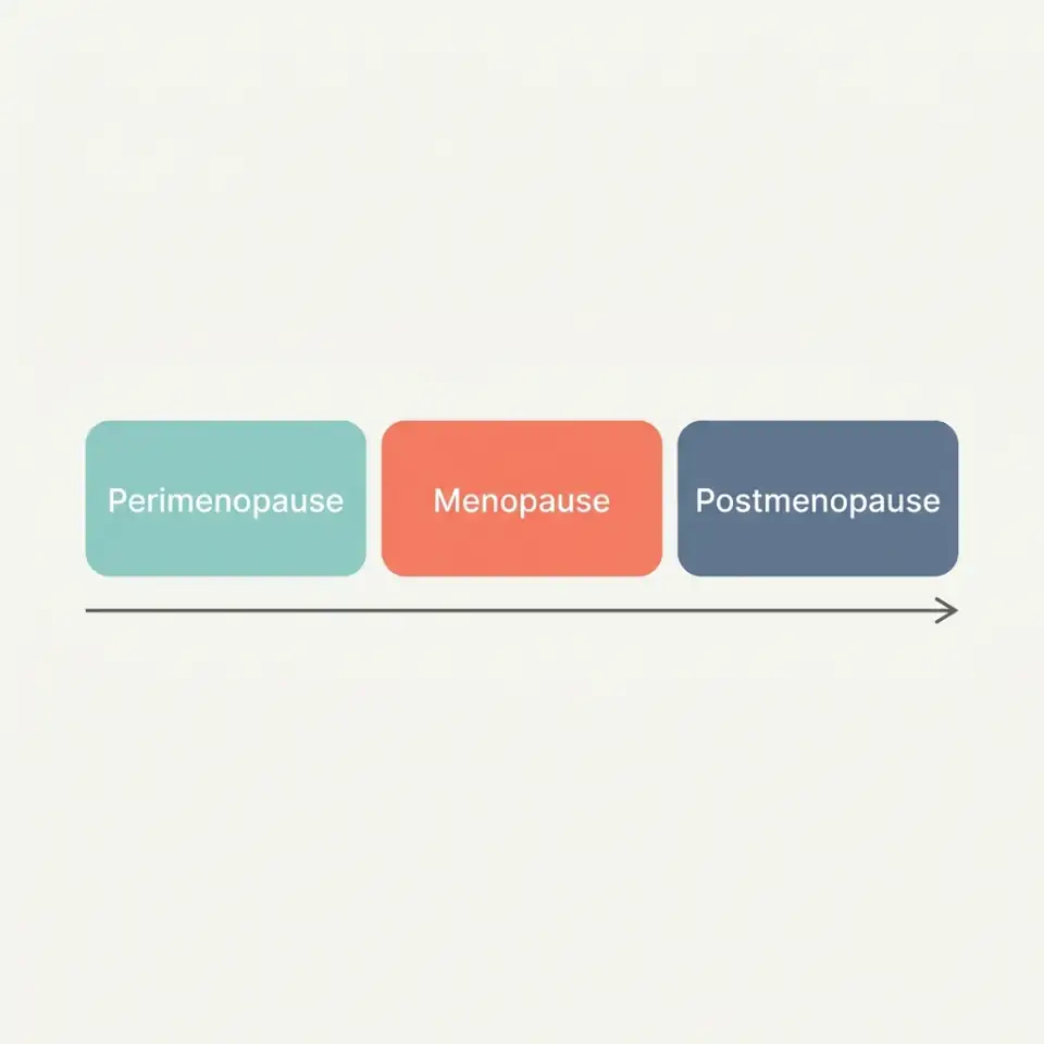 Three-stage menopause timeline showing perimenopause, menopause, and postmenopause as connected bands