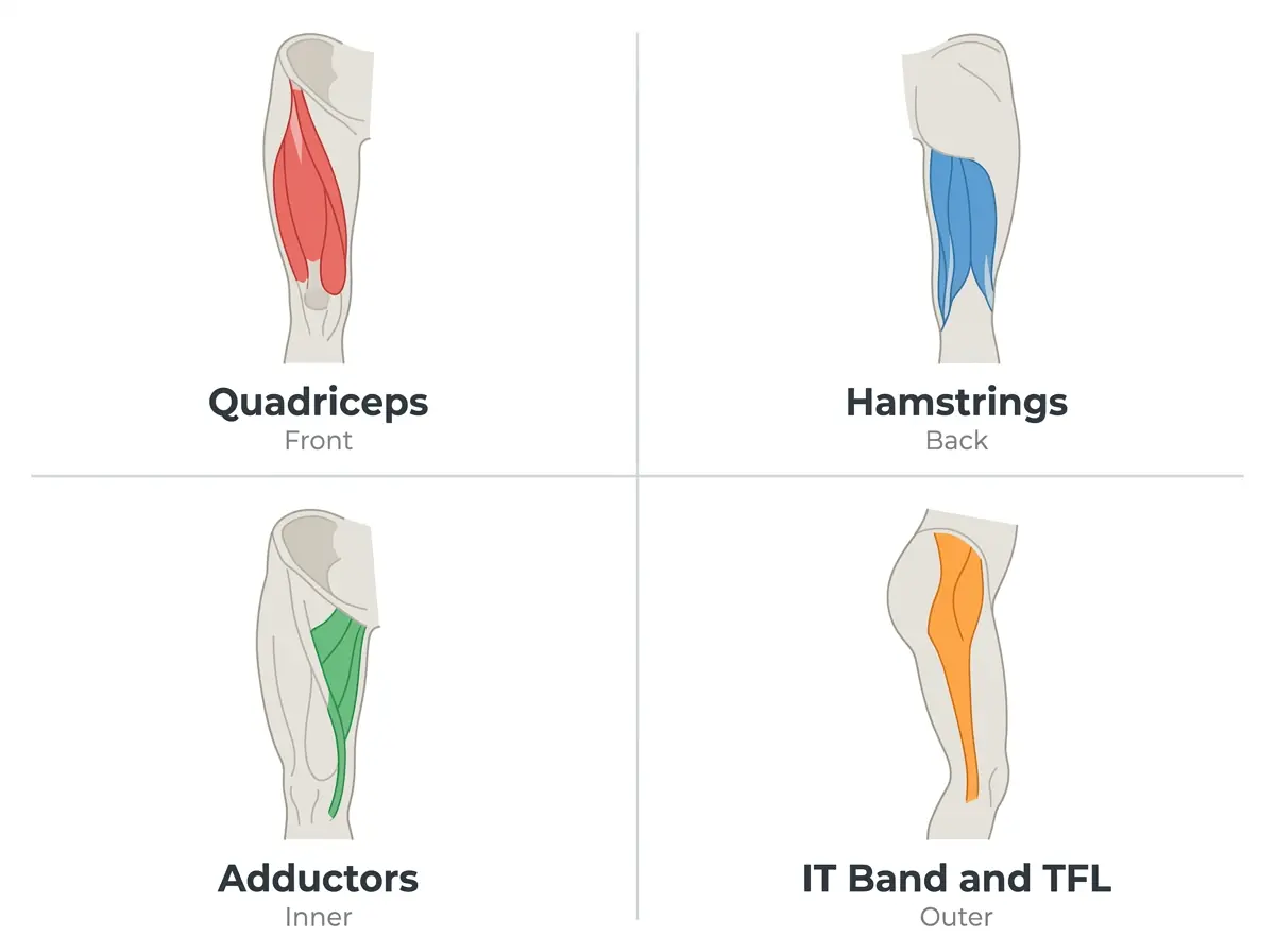 Anatomy diagram showing four thigh muscle groups for thigh stretches — quadriceps, hamstrings, adductors, and IT band